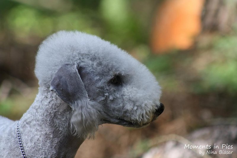 2010-05-29 Alanna und Svet (12).jpg - Arc-en-ciel Alanna 2010-05-29